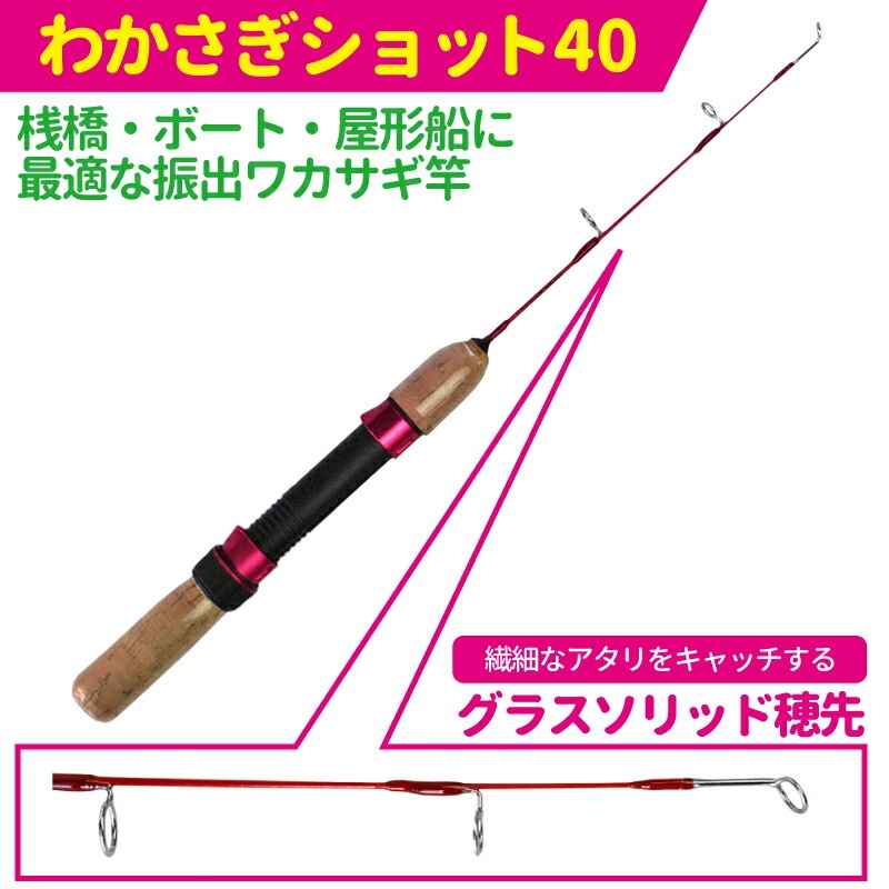 わかさぎ釣り用 ロッド 40cm ＆ リール セット ファミリー 初心者用 わかさぎショット40 + ファイターミニDX FM-100 プロマリン PRO MARINE ワカサギ 釣り