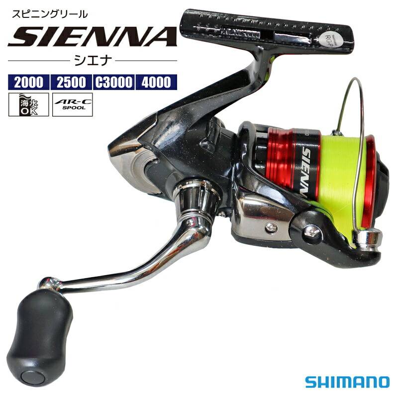 シマノ スピニングリール 19 シエナ SIENNA 釣り SHIMANO フィッシング 箱なし