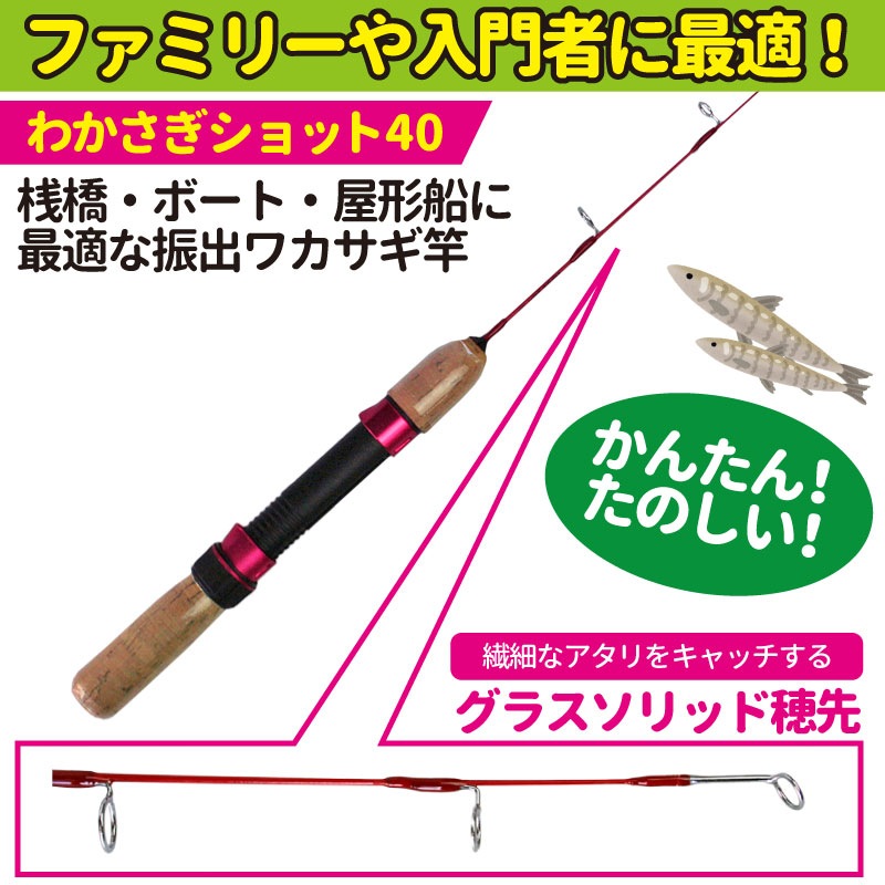 釣り竿 ワカサギ 釣り用 ロッド わかさぎショット40 ファミリー 初心者用 プロマリン PRO MARINE 釣り フィッシング