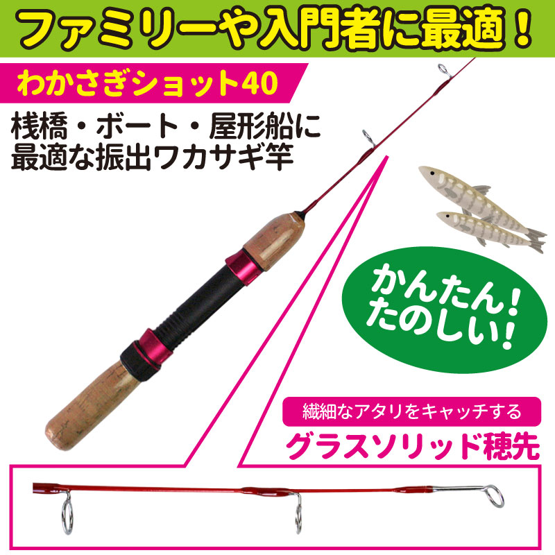 釣り竿 ワカサギ 釣り用 ロッド わかさぎショット40 ファミリー 初心者用 プロマリン PRO MARINE 釣り フィッシング