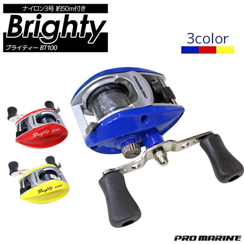 ベイトリール ブライティー BT100 ナイロン3号/約50M付き 釣り PRO MARINE