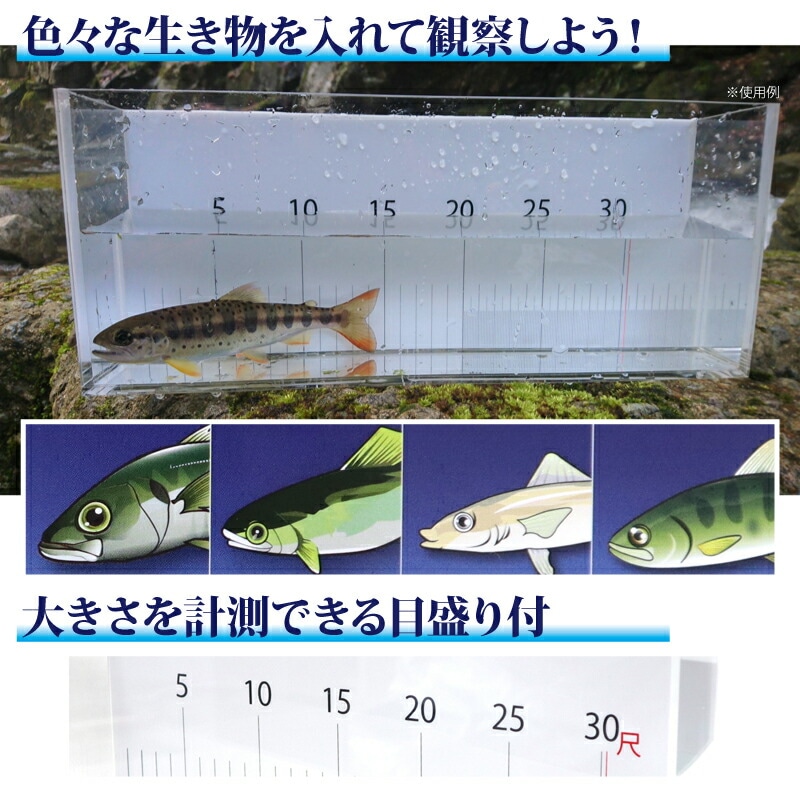 観察ライブスケール 観察ケース 目盛り付 外寸縦150×横360×幅70mm KG-321 WAVE GEAR ウェーブギア