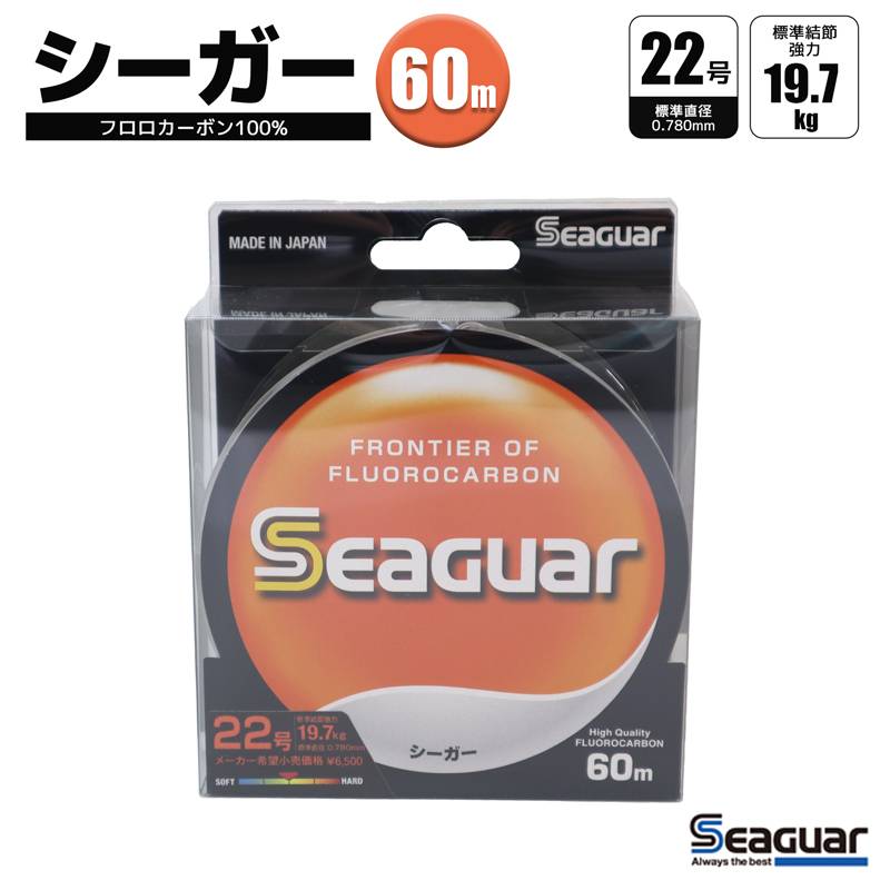 釣り糸 フロロカーボン100%  ハリス シーガー 60m 22号 クリア  Seaguar  クリアランス特価