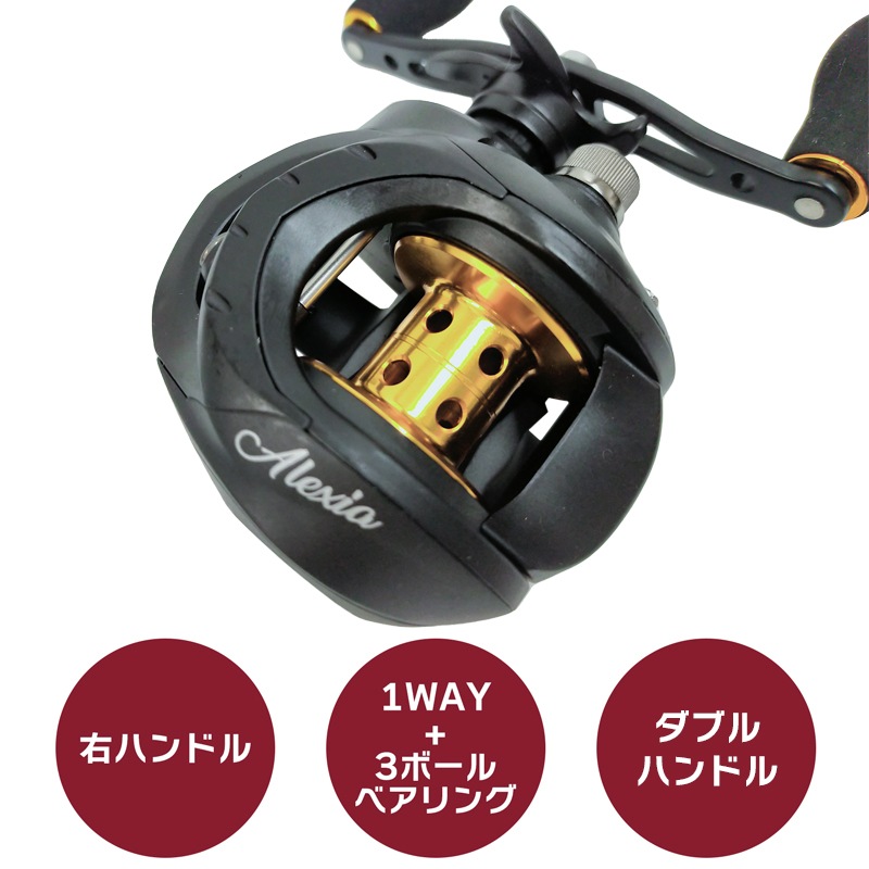 ベイトリール アレシア ALE100W ダブルハンドルモデル 釣り PRO MARINE