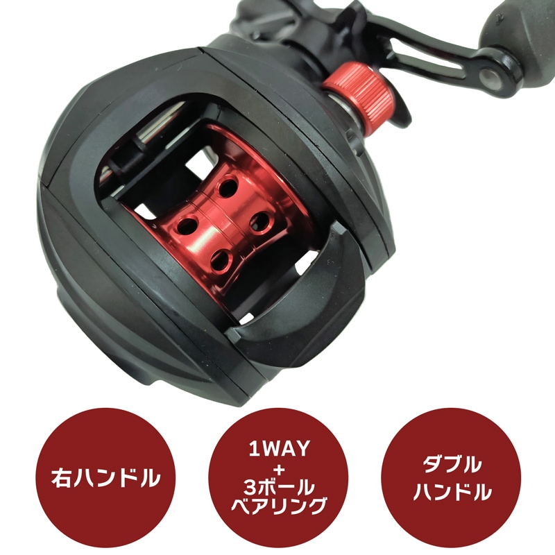 ベイトリール エスティア EST100WN ダブルハンドル 釣り 右ハンドル