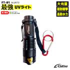 最強UVライト 夜釣り 大光量 超耐衝撃 高防水力 紫外線ライト カラビナ ストラップ付 電池別売 FT-81 No.8970 Cultiva オーナーばり