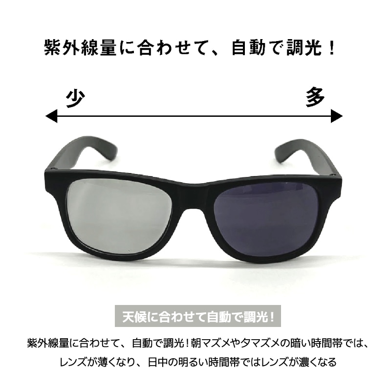 ダイワ トリアセテート調光偏光グラス DN-8065H グレー 釣り