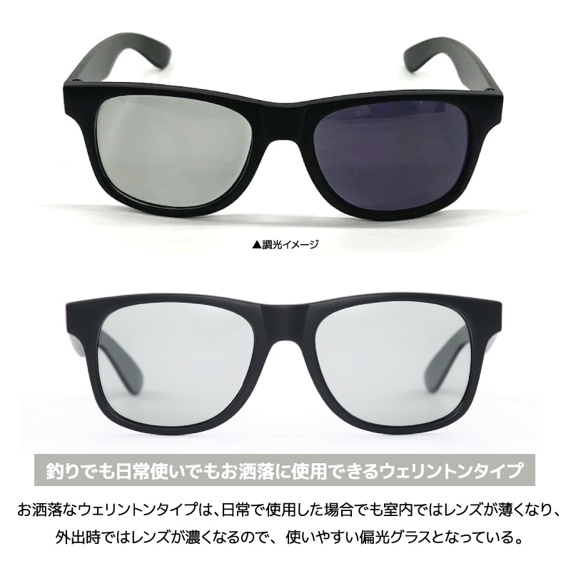 ダイワ トリアセテート調光偏光グラス DN-8065H グレー 釣り サングラス メンズ ウェリントンタイプ ケース付き メガネ拭き1枚+レンズクリーナー付 DAIWA