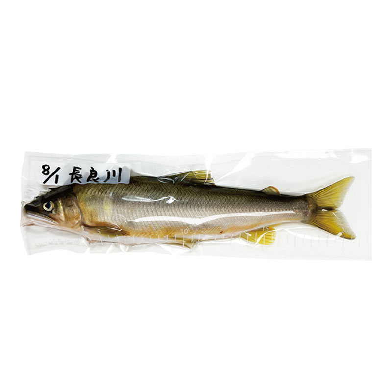 徳用ピタッと冷凍パック 70×300 釣り 300枚入 大容量 ポリプロピレン 冷凍保存袋 TACKLE in JAPAN