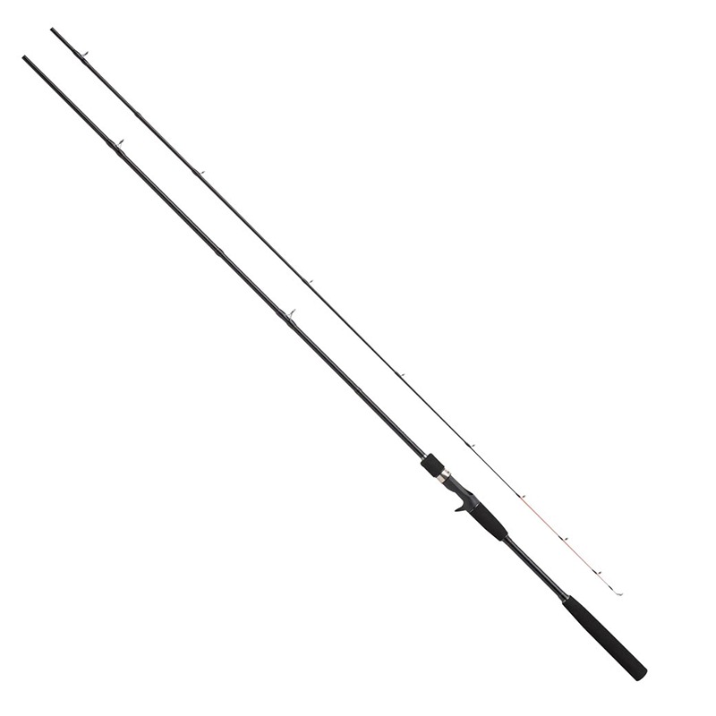 釣り竿 レグリア 海上釣堀 さぐり釣り 300M 並継 ベイト ソリッドディップ マダイ イシダイ 青物 ヒラメ イシダイ ロッド PRO MARINE プロマリン