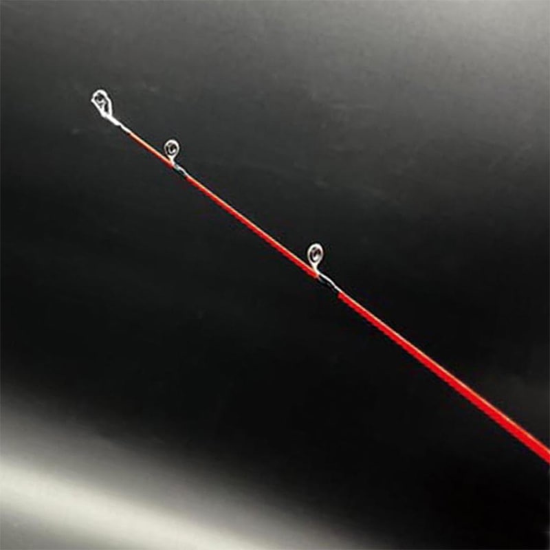 釣り竿 レグリア 海上釣堀 さぐり釣り 300M 並継 ベイト ソリッドディップ マダイ イシダイ 青物 ヒラメ イシダイ ロッド PRO MARINE プロマリン