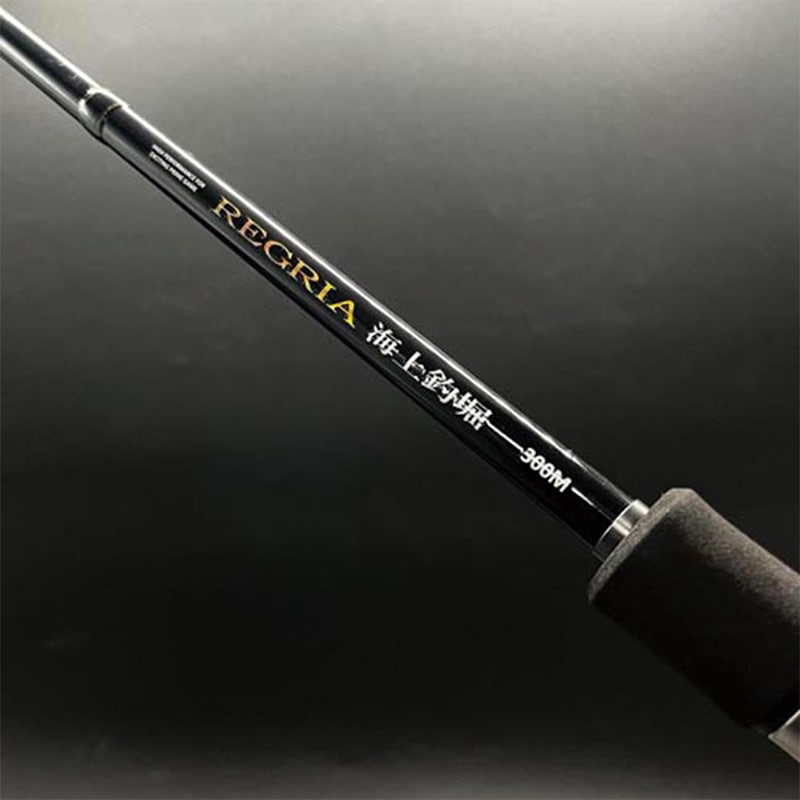 アガベ フィリグリー　極上コレクション株 ce05ca715ba7e06d45752b4f9f0383