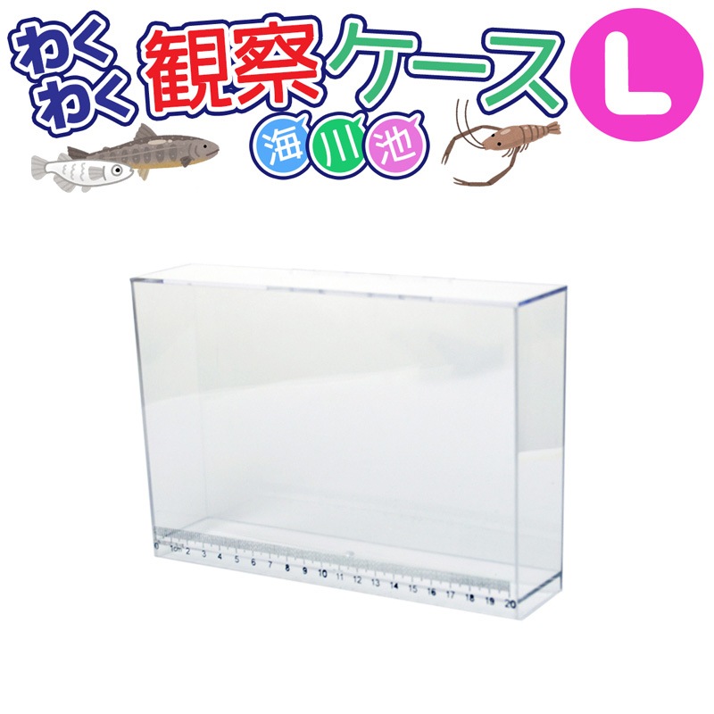 わくわく観察ケース LET200 L 釣り 幅21×高さ17×奥行5cm 目盛り付 プロマリン