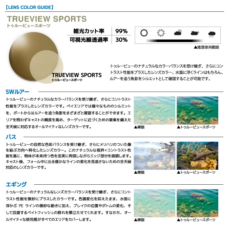 ダイワ 偏光サングラス 釣り メンズ UVカット TLX 024 TVS トゥルービュースポーツ ケース メガネ拭き2枚 + レンズクリーナー付 タレックス DAIWA