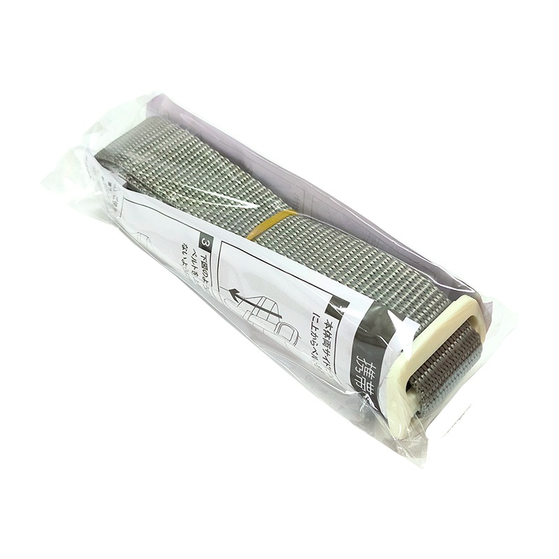 ホリデーランドクーラー CBX-17H ホワイト 約Ｗ454×Ｄ258×Ｈ311 釣り 伸和 フィッシング アウトドア