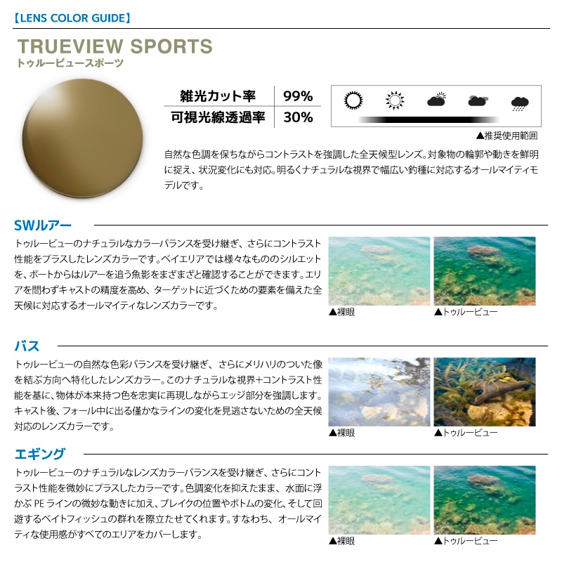 ダイワ 偏光サングラス 釣り メンズ UVカット TLX 017 TVS SM トゥルー