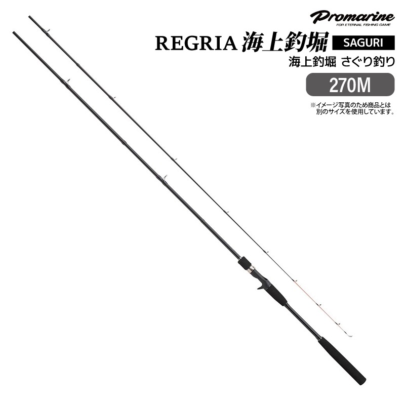 釣り竿 レグリア 海上釣堀 さぐり釣り 270M 並継 ベイト ソリッドディップ マダイ イシダイ 青物 ヒラメ イシダイ ロッド PRO MARINE プロマリン