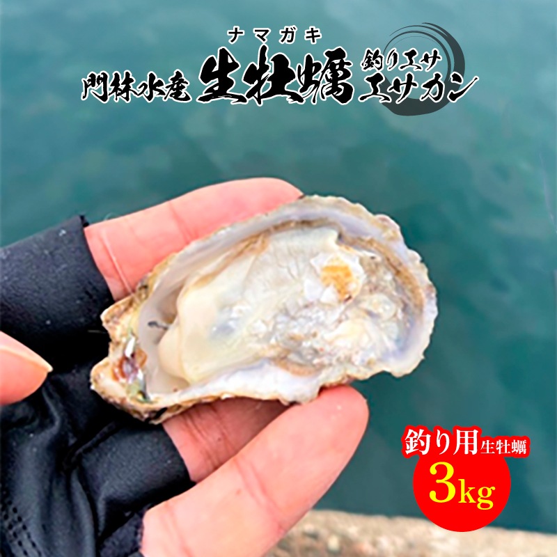 門林水産 生牡蠣 エサ缶 3kg （約81個前後） 広島県産 釣り餌用 ナマガキ 冷蔵で約1週間保存可能 養殖牡蠣 産地直送