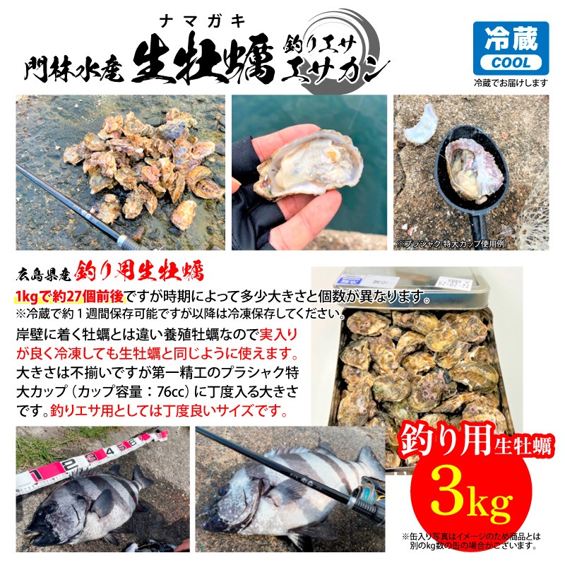 門林水産 生牡蠣 エサ缶 3kg （約81個前後） 広島県産 釣り餌用 ナマガキ 冷蔵で約1週間保存可能 養殖牡蠣 産地直送