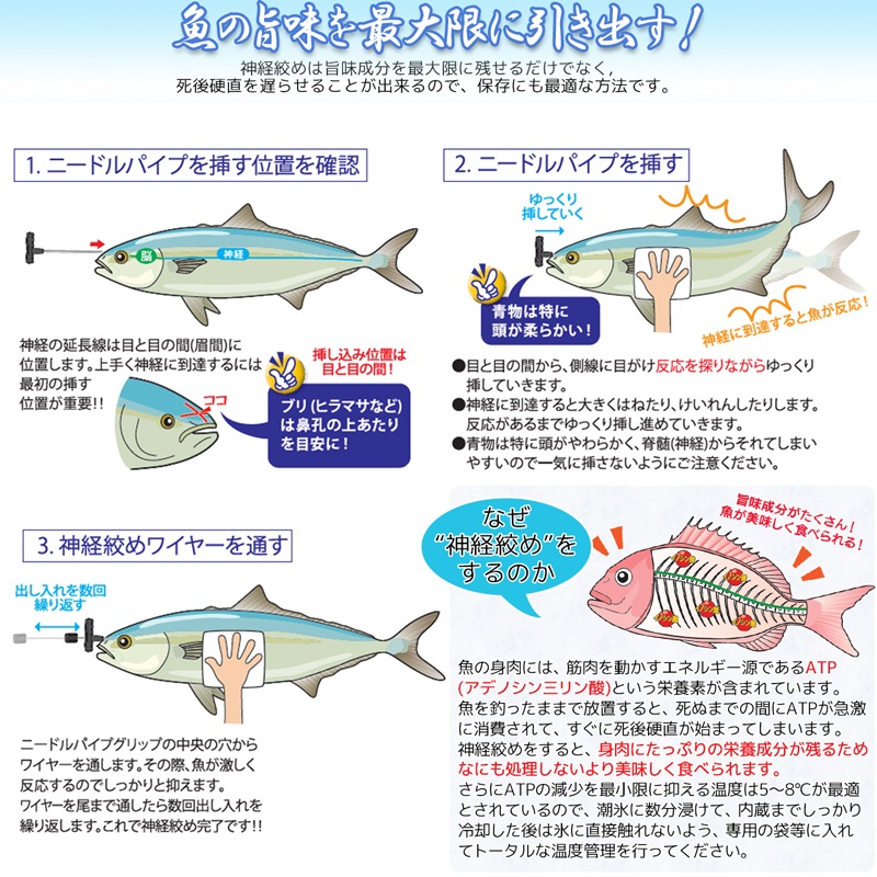 神経絞めセットMEDIUM ワイヤー長60cm 釣り A20292 エア抜きもできる