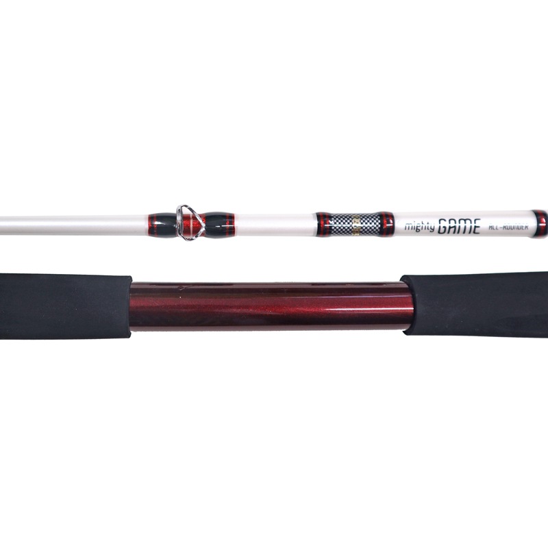 釣り竿 万能船竿 釣り マイティーゲーム オールラウンダー タイプ4 適剛 2本継 全長1.9m ロッド ファイブスター