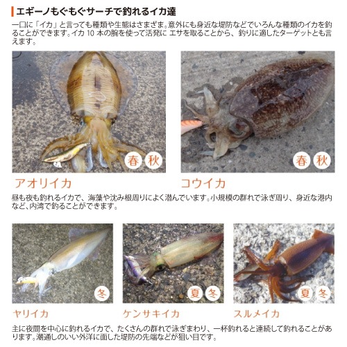 ヤマシタ エギーノ もぐもぐサーチ 3.2号 釣り 20g／105mm 餌木 ルアー イカ釣り エギング YAMASHITA ヤマリア