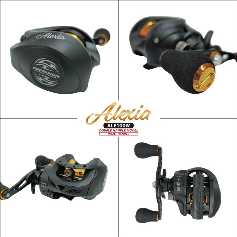 ベイトリール アレシア ALE100W ダブルハンドルモデル 釣り PRO MARINE