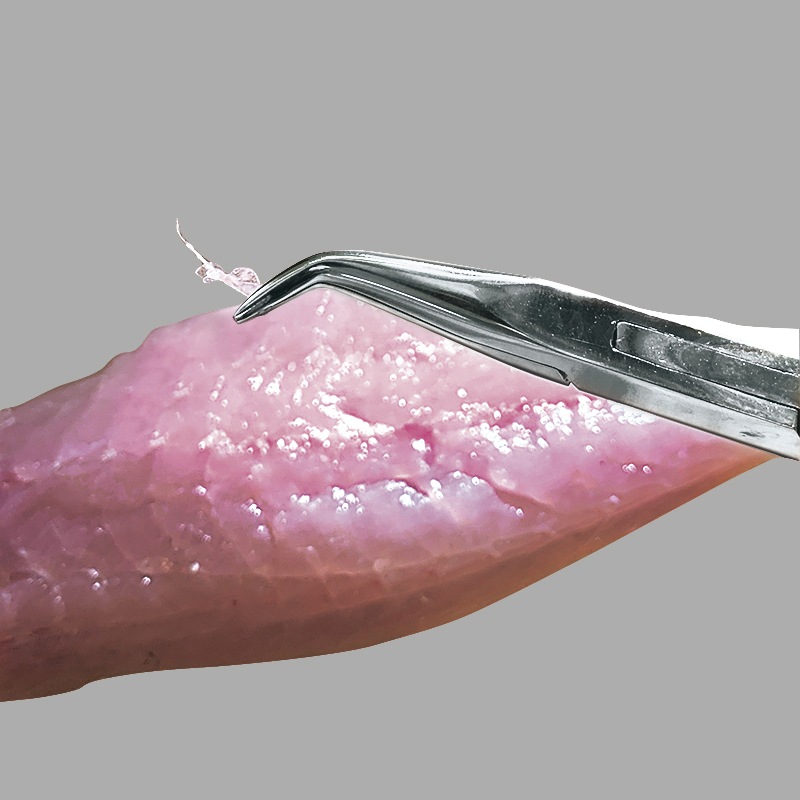 小骨抜き プライヤー 魚 骨抜き 抜けない 抜きやすい PX424F プロックス PROX ステンレス 製 魚調理 骨取り 調理器具 平刃 細刃 2種 鯵 鯛 刺身 釣り 便利 グッズ フィッシング