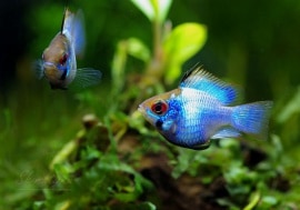 Хȥ֥롼Х롼ࡡ3ɤ