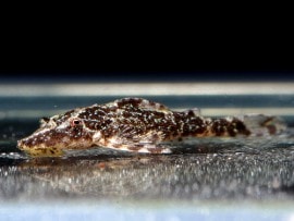 ��Ǯ�ӵ��ۡ����꡼��ɥåȥѥ饪�ȥ���3ɤ