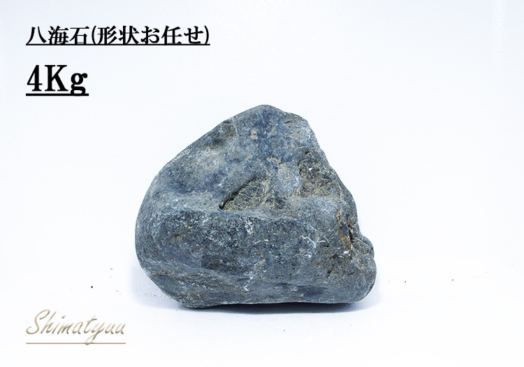 限定販売!! 八海石 4.0kg | 素材・流木・石,石 | AQUA-F東京店通販