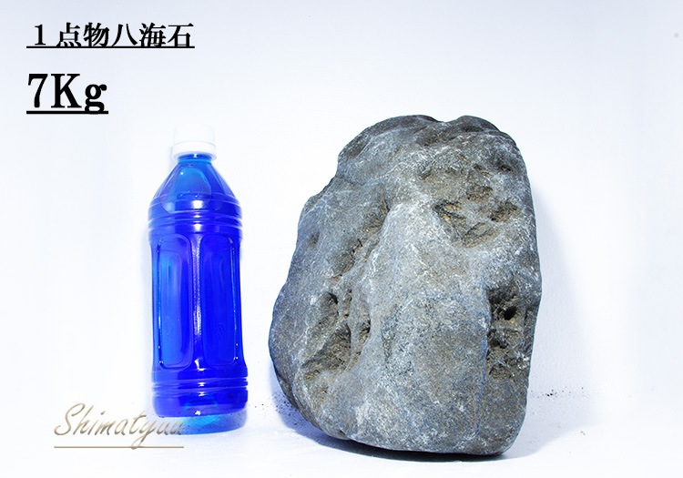 限定販売!! 一点物 八海石 7.0kg No.06 | 素材・流木・石,石 | AQUA