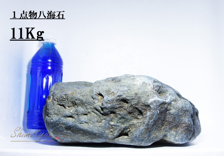 限定販売!! 一点物 八海石 11.0kg No.08 | 素材・流木・石,石 | AQUA
