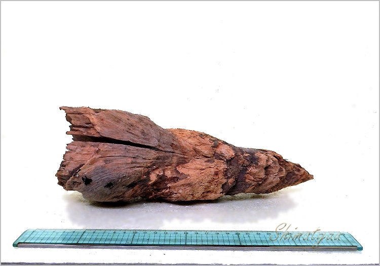 流木の灯り-13 流木 NO.13