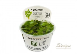 �ȿ�����1-2-GROW!���˥�ե����ǥ�sp�ɥ������ɡ���041B TC�ɡ�3���å�