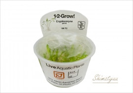 �ȿ�����1-2-GROW!������ץȥ���͡��ѥ�С���106 TC�ɡ�3���å�