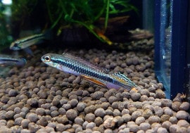 ˥ ǥƥȹ񻺥֥꡼ɡɡ1У