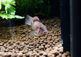 .sp.٥ƥ˥ޥȹ񻺥֥꡼ɡɡУ