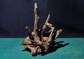 一点物 イージーウッド(S)タイ産流木 No.01