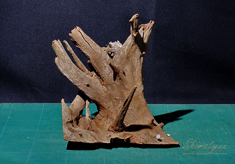 流木　約52㎝ fit=scale-down,w=1200