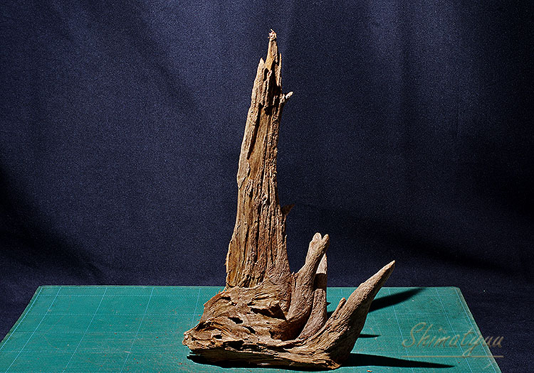 流木　約52㎝ fit=scale-down,w=1200