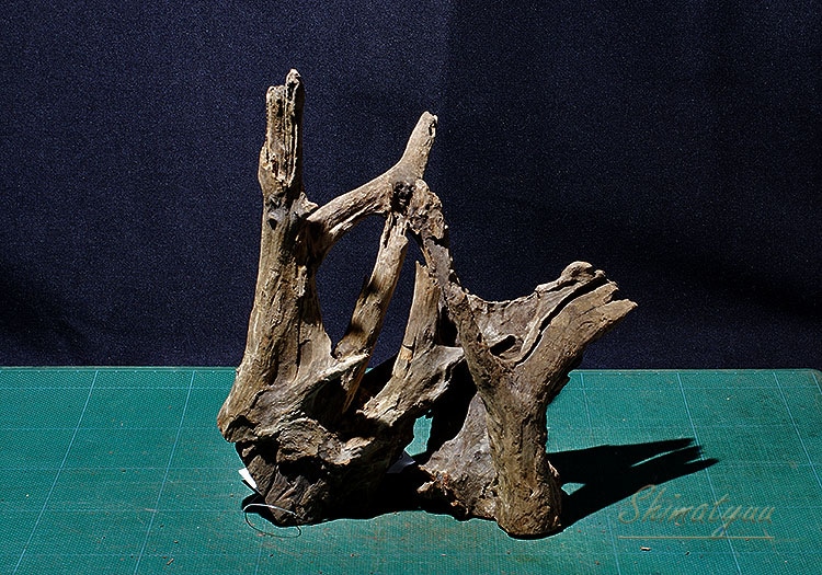 一点物 イージーウッド（S）タイ産流木 No.20 | 素材・流木・石,流木