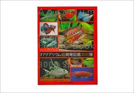 �ڤ��ޤ��� �������ꥦ��Ķ����޴� 3000�� ñ���� – 2026/3/16���ǡ�10�����ꡡ(����ʸ�ξ��ʤ����ۡ�30.000-�ʾ头������1���ץ쥼���)