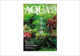 �ڤ��ޤ��ۥ������饤��2026ǯ4��桡������她�����ȥ��åס����ƥåץ��åץ����ɡ�(����ʸ�ξ��ʤ����ۡ�15.000-�ʾ头������1���ץ쥼���)