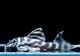����ʪ�����������ӥ�ڥ���ƥ������ȥ�����ɡ�WILD��No.01