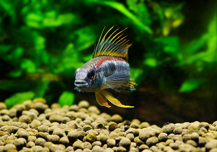 𡡥ӥ˥ȥꥪʥʥɡףɣ̣ġУ