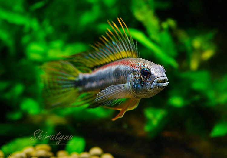 𡡥ӥ˥ȥꥪʥʥɡףɣ̣ġУ