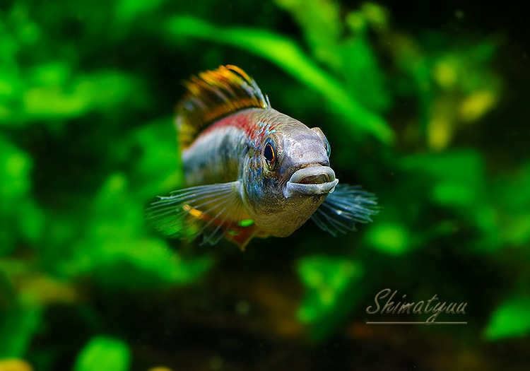 𡡥ӥ˥ȥꥪʥʥɡףɣ̣ġУ