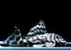 ����ʪ�����������ӥ�ڥ���ƥ������ȥ�����ɡ�WILD��No.08