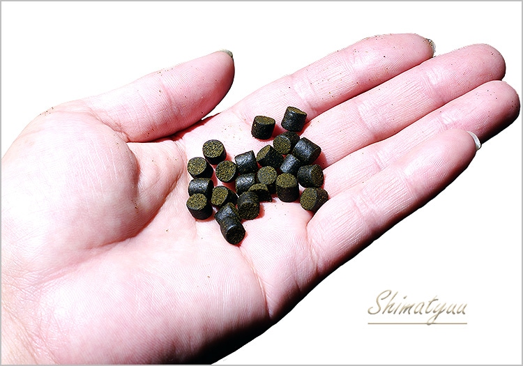 �ڥ�ޥȥ���ѥ����б��ۡڥ��ꥸ�ʥ뾦�ʡۡ�Pleco Pro Ember Rich  �ȥץ쥳 �ץ� ����С���å��ɡ����Ȥ������������ڥ�åȡ�330��